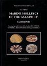 Marine Molluscs of the Galapagos, Volume 1: Gastropods