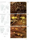 Fungi of Switzerland, Volume 1: Ascomycetes