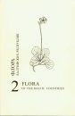 Flora of the Baltic Countries, Volume 2: Compendium of Vascular Plants [English / Russian]