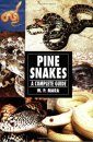 Pine Snakes: A Complete Guide