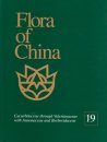 Flora of China, Volume 19: Cucurbitaceae through Valerianaceae with Annonaceae and Berberidaceae