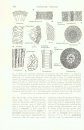 Treatise on Invertebrate Paleontology, Part F: Supplement 1: Coelenterata (2-Volume Set)