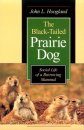 The Black-Tailed Prairie Dog