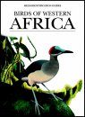 Birds of Western Africa: An Identification Guide