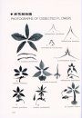 Native Orchids of Taiwan, Volume 1 [English / Chinese]