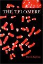 The Telomore