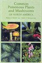 Common Poisonous Plants and Mushrooms of North America