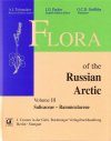 The Flora of the Russian Arctic, Volume 3