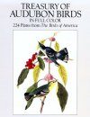 Treasury of Audubon Birds in Full Colour