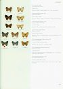 Butterflies of the Neotropical Region, Part 7
