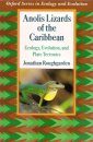 Anolis Lizards of the Caribbean
