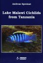 Lake Malawi Cichlids from Tanzania