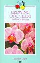 Growing Orchids in the Caribbean