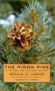 The Pinon Pine