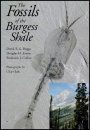 The Fossils of the Burgess Shale