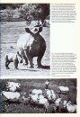 International Zoo Yearbook 8: Canids and Felids in Captivity