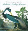 Tiny Folio: Audubon's Birds of America