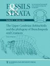 Upper Cambrian Rehbachiella and the Phylogeny of Branchiopoda and Crustacea