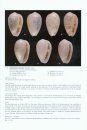 Atlas of the Mediterranean Seashells / Atlante delle Conchiglie Marine del Mediterraneo, Volume 4, Part 1