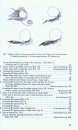 Microlepidoptera of Europe, Volume 1