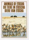 Animals of Etosha / Die Tiere in Etoscha / Diere van Etosha