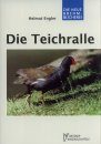 Die Teichralle [The Common Moorhen]