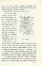 Rare, Threatened and Endangered Plants of Central China, Volume 1 [Chinese]