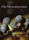 Die Myxomyceten, Band 2 [The Myxomycetes, Volume 2]: Physarales