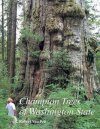 Champion Trees of Washington State