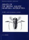Adults of the British Aquatic Hemiptera Heteroptera