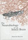 The Neurobiology of an Insect Brain