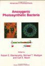 Anoxygenic Photosynthesis Bacteria