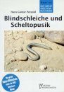 Blindschleiche und Scheltopusik (Slow Worm)