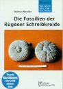 Die Fossilien der Rügener Schreibkreide [The Fossils of the Rügen Chalk]