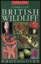 Collins Complete British Wildlife Photo Guide