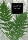 Ferns of Britain and Ireland