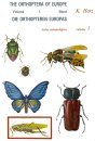 The Orthoptera of Europe / Orthopteren Europas, Volume 1