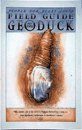Field Guide to the Geoduck