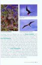 A Pocket Guide to Hawaii's Birds and their Habitats