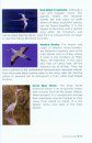 A Pocket Guide to Hawaii's Birds and their Habitats