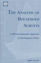 The Analysis of Household Surveys