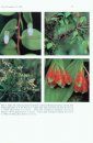 Flora of Ecuador, Volume 54, Part 147: Ericaceae