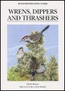 Wrens, Dippers and Thrashers