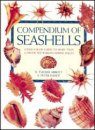 Compendium of Seashells