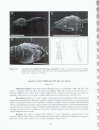 Taxonomic Atlas of the Benthic Fauna of the Santa Maria Basin and the Western Santa Barbara Channel, Volume 11