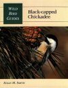 Black-Capped Chickadee