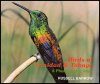 Birds of Trinidad and Tobago: A Photographic Atlas