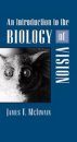An Introduction to the Biology of Vision