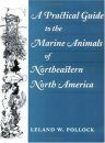 A Practical Guide to Marine Animals of Northeastern North America