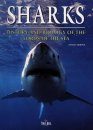Sharks: History and Biology of the Lords of the Sea